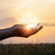 Hands support the brain in the sun .